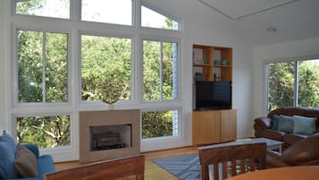 TV connectée, cheminée, médiathÚque