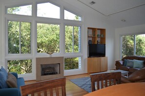 Smart TV, fireplace, books, music library