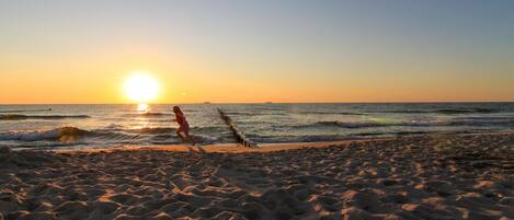 Beach nearby, fishing