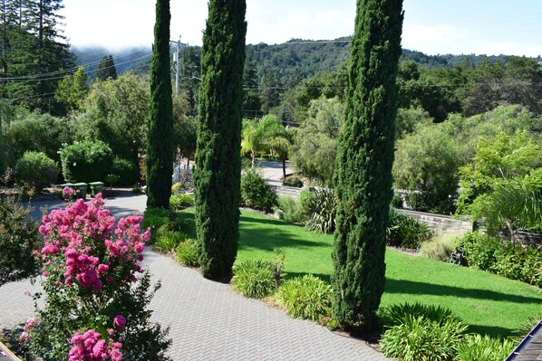 A landscaped garden with tall trees, a paved walkway, and a view of a hilly landscape in the background.