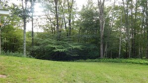 A grassy area with a large tree in the center, surrounded by a forest. - 3 Bedroom home with rear deck and covered front porch. (Delancey)