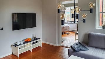 Télévision, cheminée, lecteur de DVD