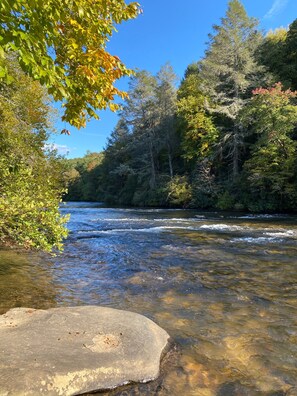 Une rivière aux eaux claires, bordée d’une forêt dense et de nombreux arbres.