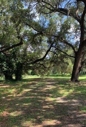 Property grounds - (Studio) Beau Cheval {Beautiful Horse} in Wartrace (Wartrace)