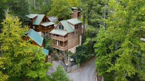 A cabin complex surrounded by dense forest.