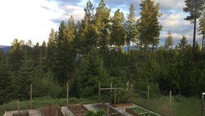 A garden with raised beds and a wooden fence. - Quail Cottage:  View Property - A Peaceful Place to Get Away (Bonners Ferry)