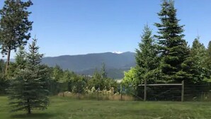 A grassy outdoor area with two green chairs and a wooden fence. - Quail Cottage:  View Property - A Peaceful Place to Get Away (Bonners Ferry)