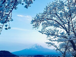 Miscellaneous - Annohousefuji Viewbbqfree Parkinggarden (富士吉田市)