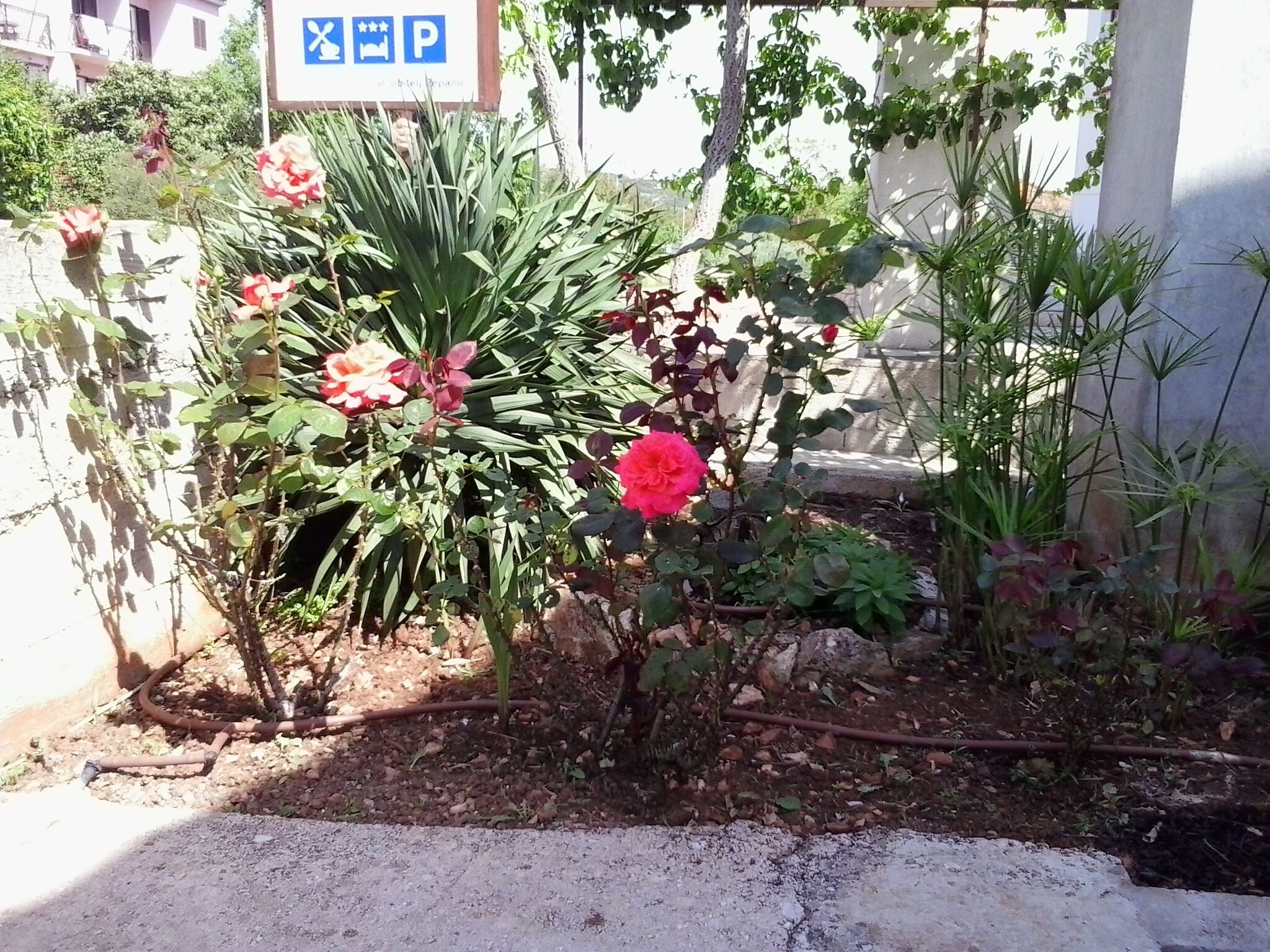 Appartamento, 2 camere da letto, accessibile ai disabili, fumatori | Giardino