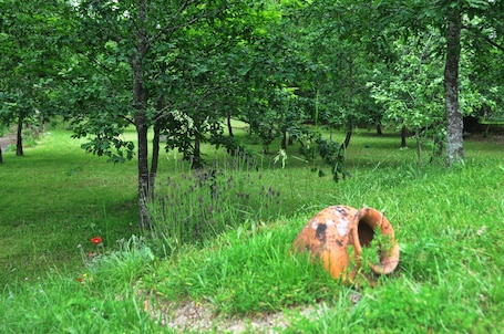 Room, 1 Bedroom, Accessible, Smoking | Property grounds