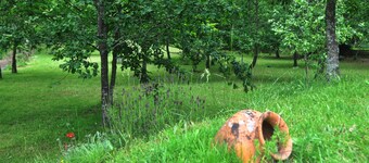Room-vale Martinho Oriental - Paradise i