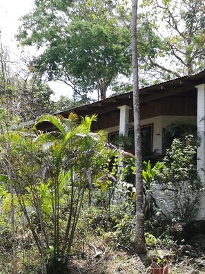 Miscellaneous - Manuela Ntonio Comfort Casa Macow 2 is one rom in Rural House (Quepos)