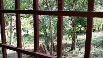 Pemandangan dari properti