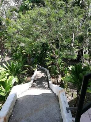 Property grounds - Manuela Ntonio Comfort Casa Macow 2 is one rom in Rural House (Quepos)
