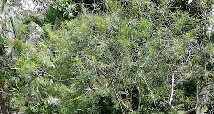 Manuela Ntonio Comfort Casa Macow 2 is one rom in Rural House