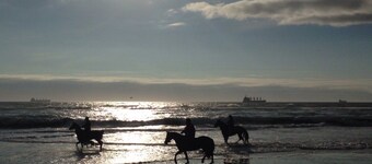 Stay at Confortable Scandinavia Hotel Bb