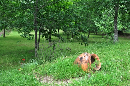 Room, 1 Bedroom, Accessible, Smoking | Property grounds