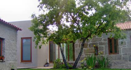 Room-paradise is Real at Vale Martinho R
