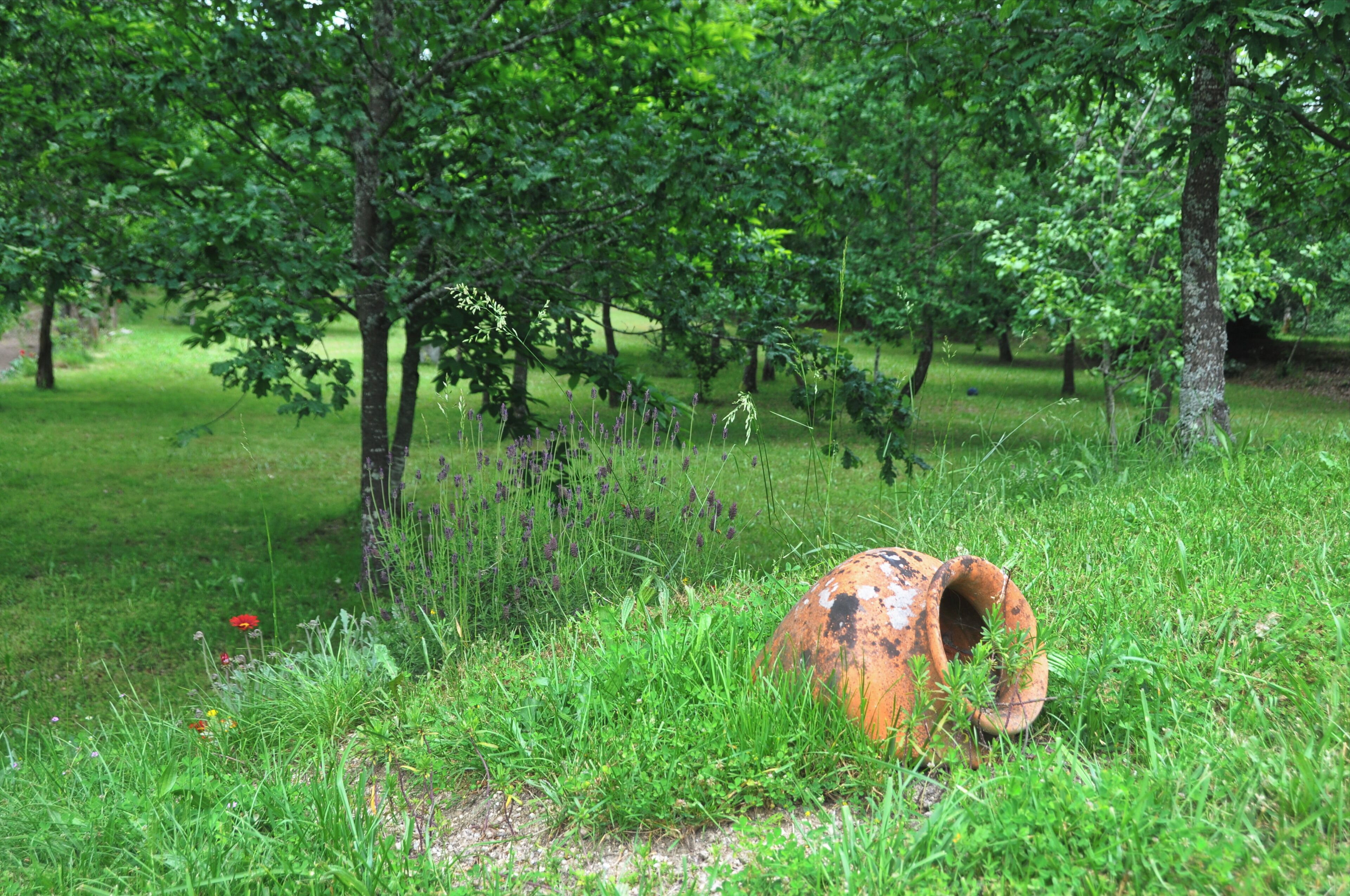 A rustic outdoor scene with a large, weathered pot in a grassy area surrounded by trees.