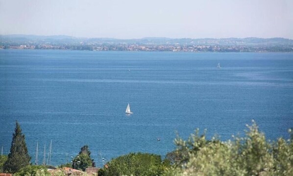 A coastal view with a sailboat on the water, a distant shoreline, and greenery in the foreground. - Villa Rosa - Moniga del Garda (Moniga del Garda)