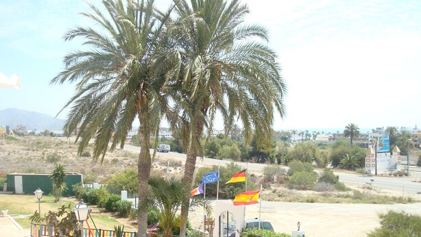 A hotel with a palm tree, flags, and a road in the background. - Impressive in Ground Floor With Terrace of 2 Rooms and Pool (Vera)