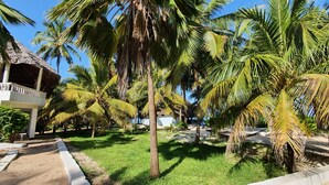 A resort with a thatched-roof building, palm trees, and a well-maintained lawn. - Mbv Hotel Annex Family Rooms (Matemwe)