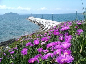 Room, 1 Bedroom, Balcony | Beach - Welcome To Hotel ,,petunia,, In Neos-marmaras,xalkidiki ,greece,in Para18dise (Sithonia)