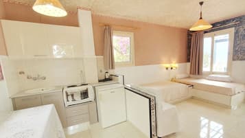 Apartment, 1 Bedroom, Smoking, Balcony | 2 bedrooms