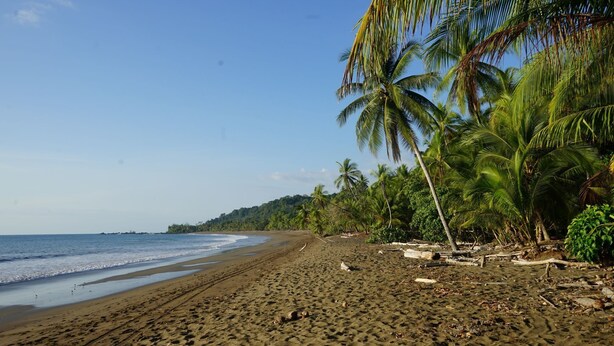 Beach - Hotel El Tesoro de Sir, Drake Bay (Drake Bay)