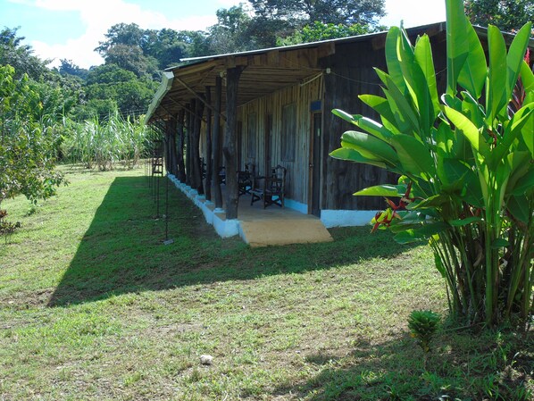 Property grounds - Hotel El Tesoro de Sir, Drake Bay (Drake Bay)