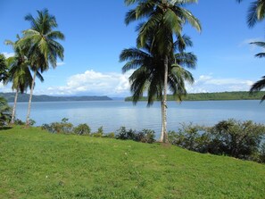 Property grounds - Hotel El Tesoro de Sir, Drake Bay (Drake Bay)