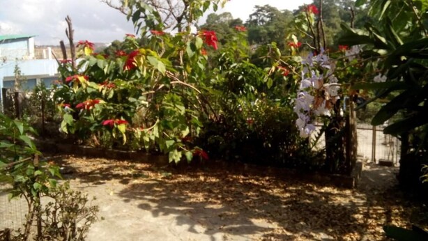 Unclassified image, 1 of 22, button - Troya Home Stay - Not a Hotel Stay in a Home (Shillong)