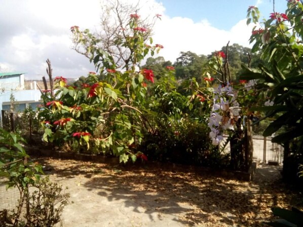 Property grounds - Troya Home Stay - Not a Hotel Stay in a Home (Shillong)