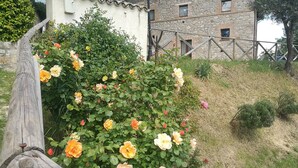 A garden with blooming roses and a stone building in the background. - Room in Holiday House - Double Twin Room With Balcony Pool View (Monte Castello di Vibio)
