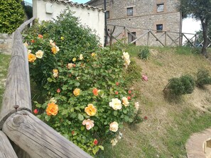 Rom, 1 soverom, balkong, bassengutsikt | Overnattingsstedets uteområder