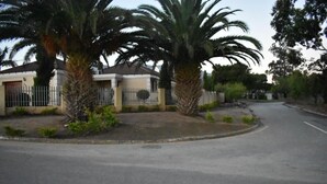 Una calle residencial con casas, palmeras y una vía despejada.