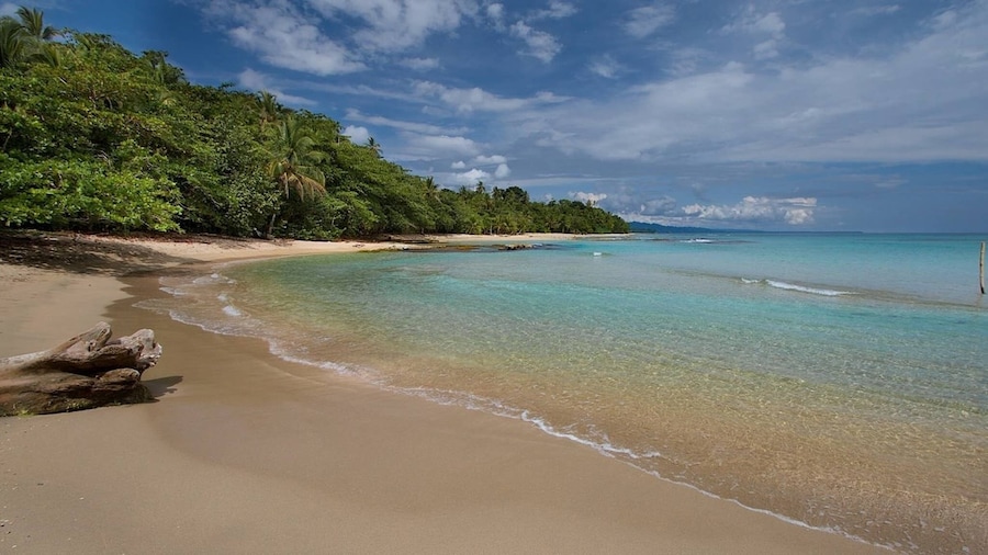 Room-villa # 3 - High End Studio Apartme