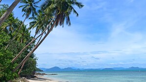 Une plage bordée de palmiers, un ciel bleu azur et des montagnes à l’horizon.