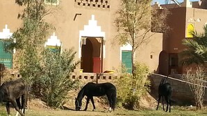 A building with traditional architecture, a courtyard, and a horse. - Room-auberge Jnane dar Diafa se Trouve a (Tamegroute)