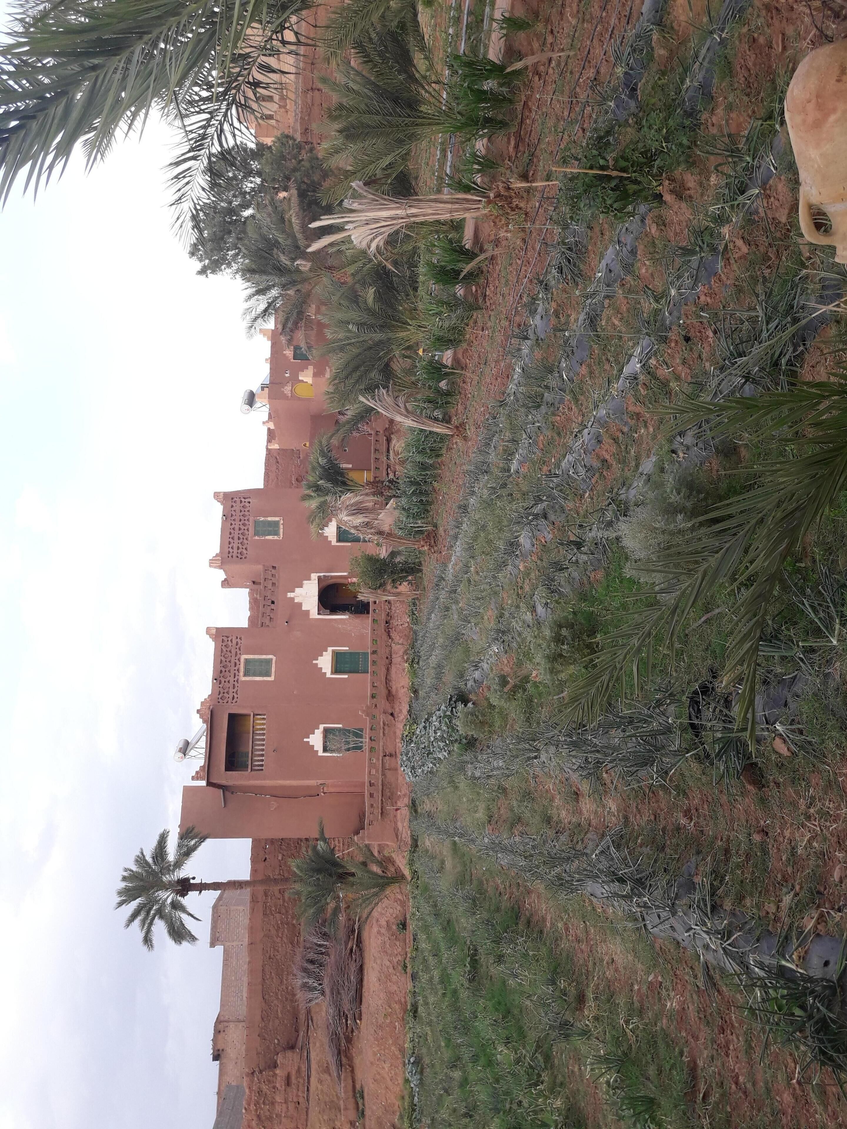 مدخل المنشأة