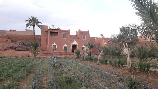 A traditional building with arched windows and a flat roof, surrounded by a garden with rows of crops and palm trees. - Room-auberge Jnane dar Diafa se Trouve a (Tamegroute)