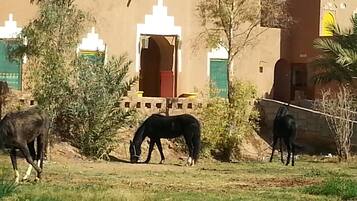 Shared Dormitory, 1 Bedroom, Accessible, Smoking | Front of property