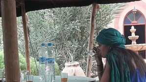 A person seated at an outdoor table with water bottles and glasses, under a shaded area with a decorative fountain in the background. - Room-auberge Jnane dar Diafa se Trouve a (Tamegroute)