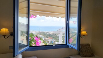 1 habitación 