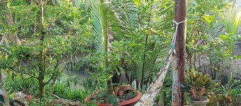 Peaceful Homestay in the Middle of Fruit Garden - Room With Public Restroom