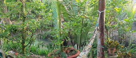 숙박 시설 구내