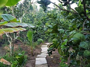 Jardines del alojamiento