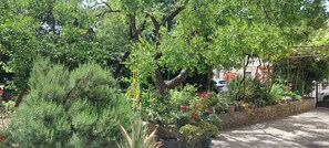 Un jardin agrémenté de diverses plantes en pot et d’arbres, un mur en pierre et un chemin pavé.