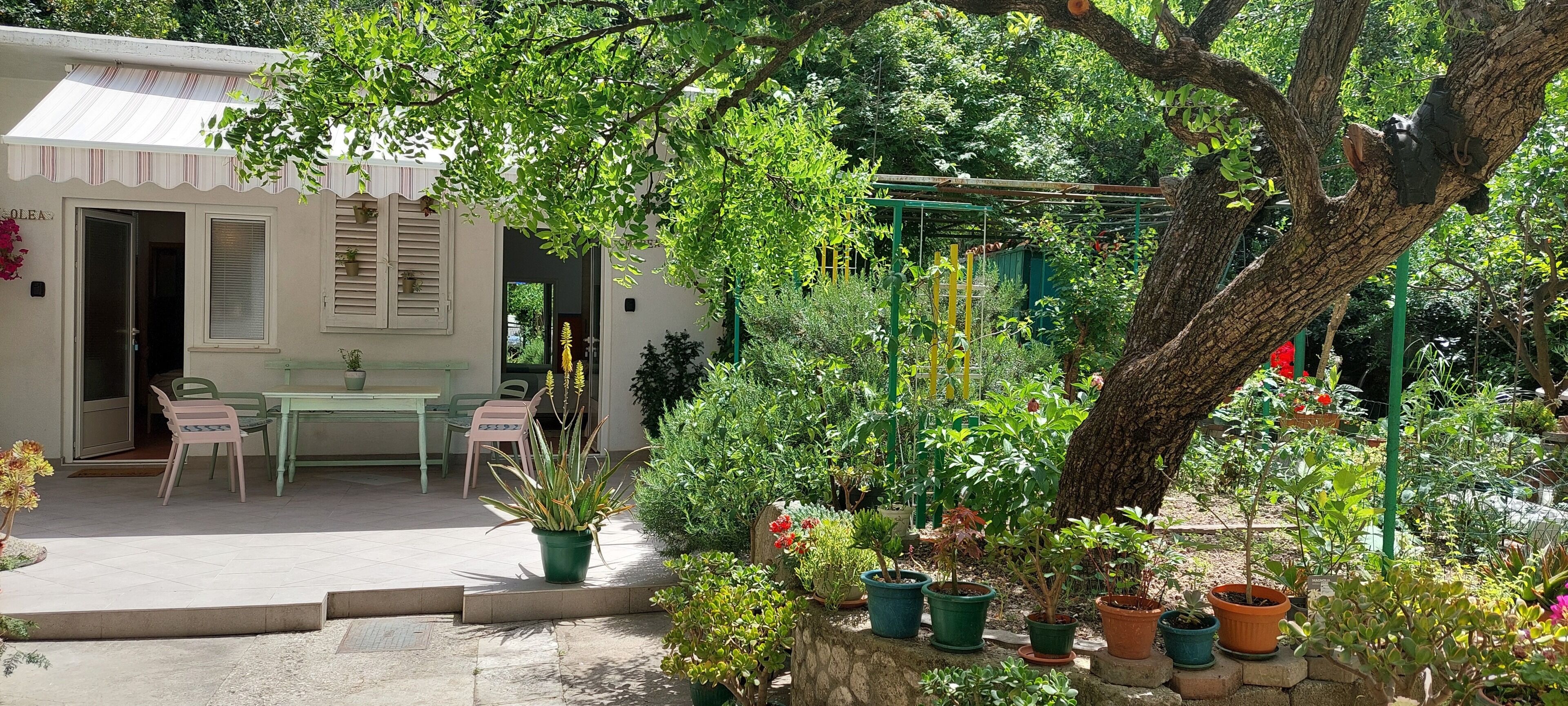 A garden with potted plants, a table, and chairs outside a building with a door and windows.