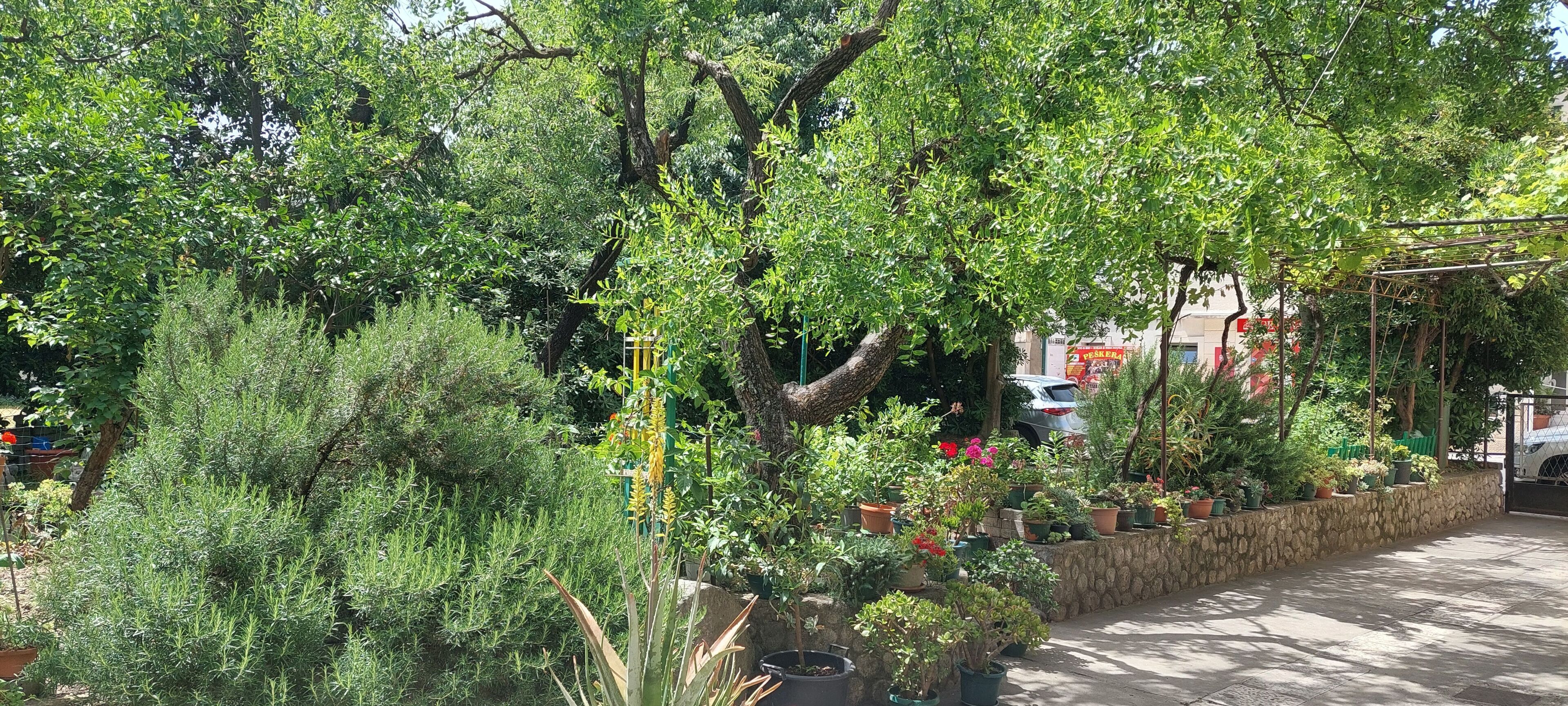 المنطقة المحيطة بالمنشأة